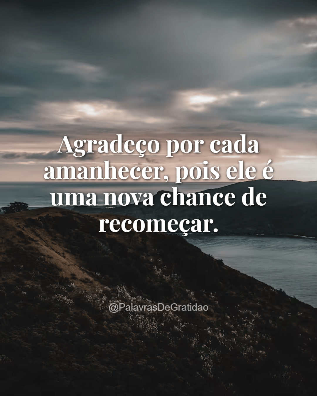 Palavras de Gratidão - Frase do Dia (1) Palavras de Gratidão - Frase do Dia (1)