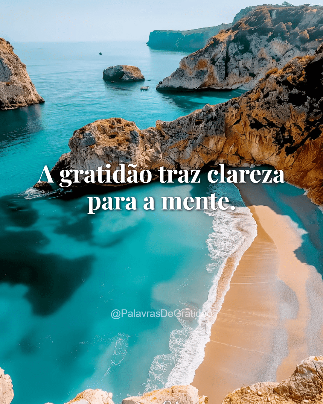 Palavras de Gratidão - Frase do Dia (3) Palavras de Gratidão - Frase do Dia (3)