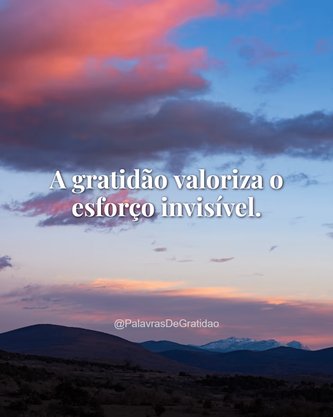 Palavras de Gratidão - Frase do Dia (5) Palavras de Gratidão - Frase do Dia (5)