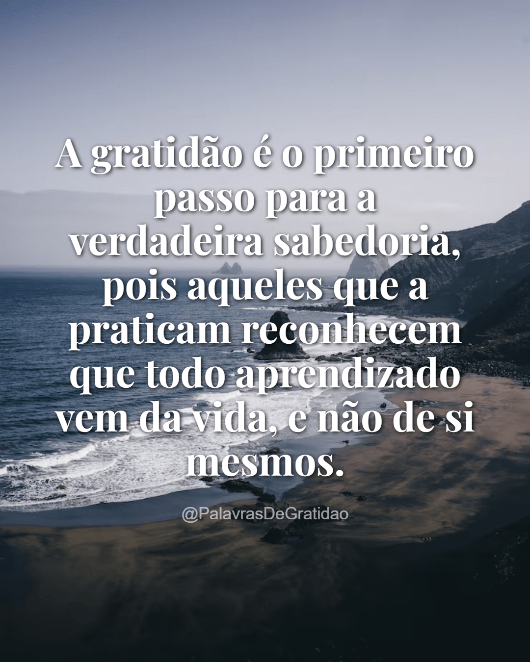 Palavras de Gratidão - Frase do Dia (6) Palavras de Gratidão - Frase do Dia (6)