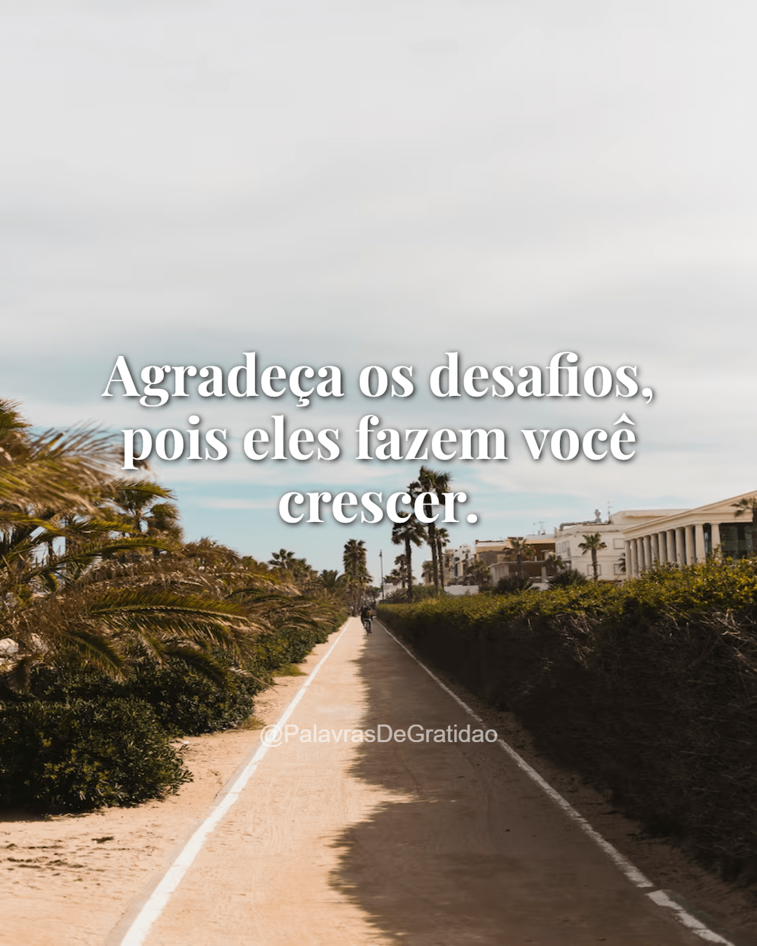 Palavras de Gratidão - Frase do Dia (8) Palavras de Gratidão - Frase do Dia (8)