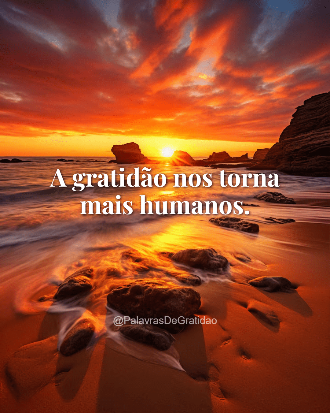 Palavras de Gratidão - Frase do Dia (9) Palavras de Gratidão - Frase do Dia (9)